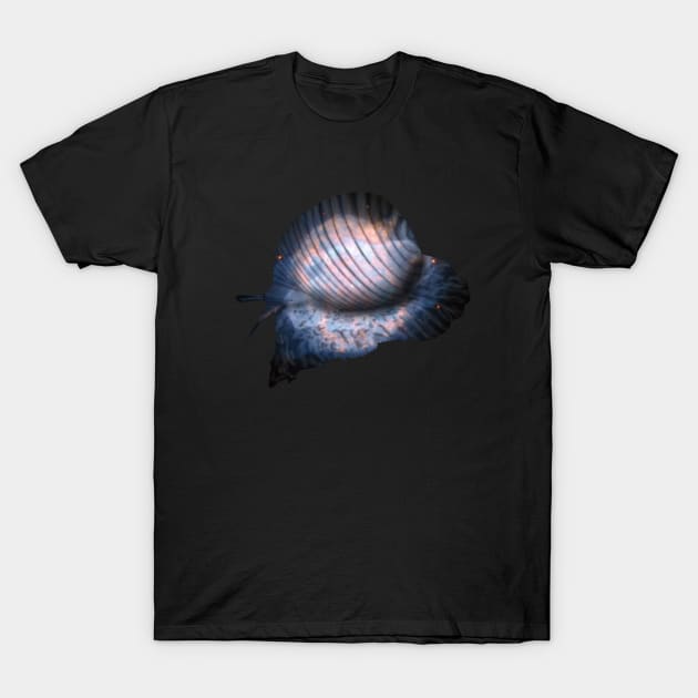 Galaxy Sea Snail T-Shirt by Kristal Stittle